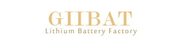 GIIBAT+ Lithium Ion Capacitor  - China AAA Lithium Battery manufacturer prices